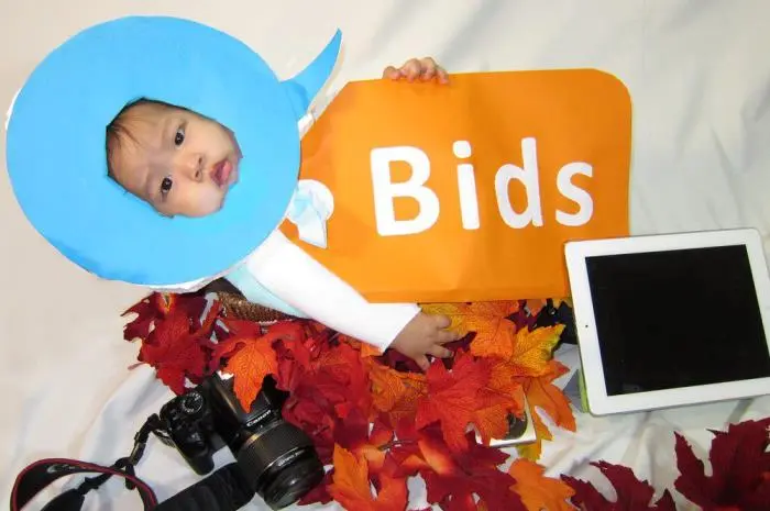 Quibids: A Scam or Not?